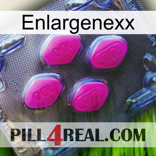 Enlargenexx 02.jpg